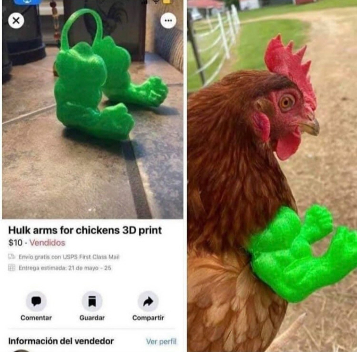 chicken arms.jpg
